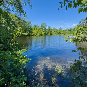 Photo #59 of SOLD property in Off Aldridge Road, Yanceyville, NC 56.6 acres