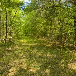 Photo #60 of SOLD property in Off Aldridge Road, Yanceyville, NC 56.6 acres