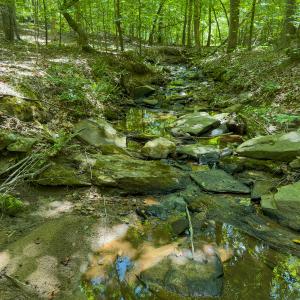 Photo #62 of SOLD property in Off Aldridge Road, Yanceyville, NC 56.6 acres