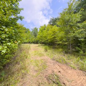 Photo #63 of SOLD property in Off Aldridge Road, Yanceyville, NC 56.6 acres