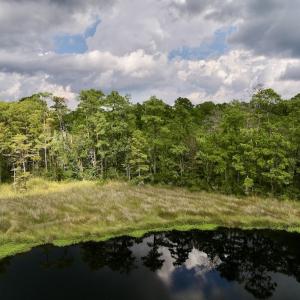 Photo #11 of SOLD property in 114 Baytree Ln, Havelock, NC 3.8 acres