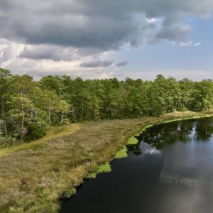 Photo #13 of SOLD property in 114 Baytree Ln, Havelock, NC 3.8 acres