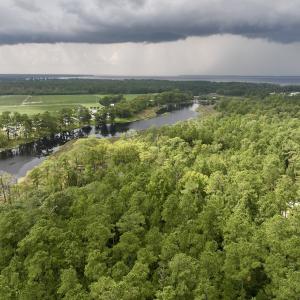 Photo #14 of SOLD property in 114 Baytree Ln, Havelock, NC 3.8 acres