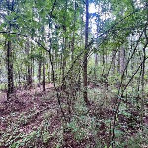 Photo #19 of SOLD property in 114 Baytree Ln, Havelock, NC 3.8 acres