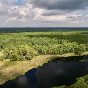 Photo #3 of SOLD property in 114 Baytree Ln, Havelock, NC 3.8 acres