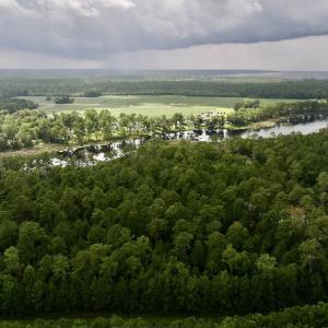 Photo #4 of SOLD property in 114 Baytree Ln, Havelock, NC 3.8 acres