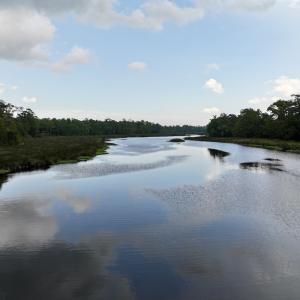 Photo #22 of SOLD property in 114 Baytree Ln, Havelock, NC 3.8 acres