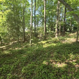Photo #12 of 0 The Pointe, Sanford, NC 0.4 acres