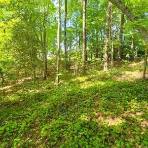 Photo #17 of 0 The Pointe, Sanford, NC 0.4 acres
