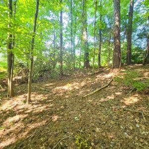Photo #18 of 0 The Pointe, Sanford, NC 0.4 acres