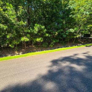 Photo #5 of 0 The Pointe, Sanford, NC 0.4 acres