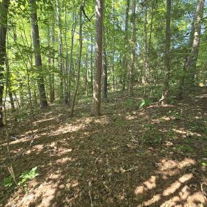 Photo #9 of 0 The Pointe, Sanford, NC 0.4 acres