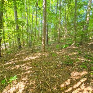Photo #10 of 0 The Pointe, Sanford, NC 0.4 acres
