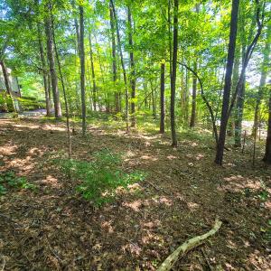 Photo #11 of 0 The Pointe, Sanford, NC 0.4 acres