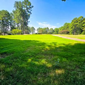 Photo #20 of 0 The Pointe, Sanford, NC 0.4 acres