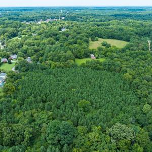 Photo #3 of SOLD property in Off White Street, Warrenton, NC 17.5 acres