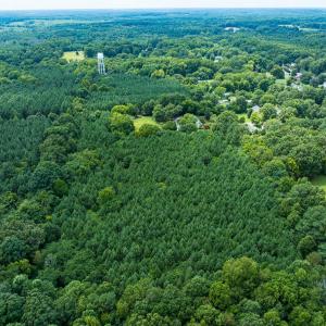 Photo #4 of SOLD property in Off White Street, Warrenton, NC 17.5 acres