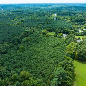 Photo #5 of SOLD property in Off White Street, Warrenton, NC 17.5 acres