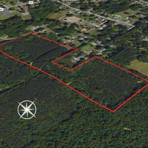 Photo #8 of SOLD property in Off White Street, Warrenton, NC 17.5 acres