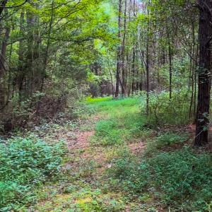Photo #9 of SOLD property in Off White Street, Warrenton, NC 17.5 acres