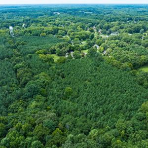 Photo #10 of SOLD property in Off White Street, Warrenton, NC 17.5 acres