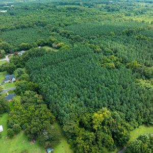 Photo #11 of SOLD property in Off White Street, Warrenton, NC 17.5 acres