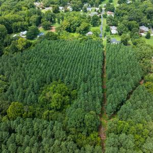 Photo #14 of SOLD property in Off White Street, Warrenton, NC 17.5 acres