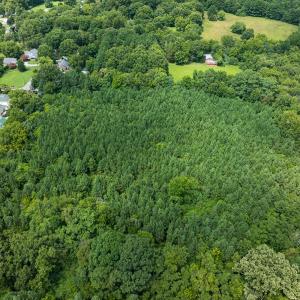 Photo #15 of SOLD property in Off White Street, Warrenton, NC 17.5 acres