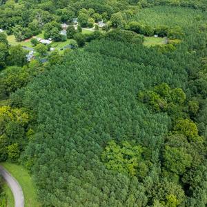 Photo #18 of SOLD property in Off White Street, Warrenton, NC 17.5 acres