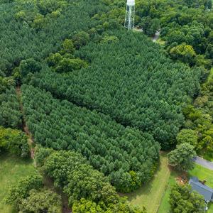 Photo #19 of SOLD property in Off White Street, Warrenton, NC 17.5 acres