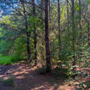 Photo #21 of SOLD property in Off White Street, Warrenton, NC 17.5 acres