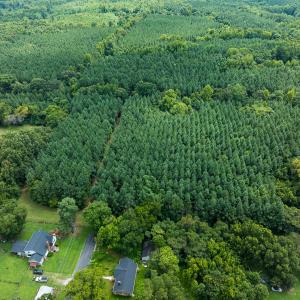 Photo #22 of SOLD property in Off White Street, Warrenton, NC 17.5 acres