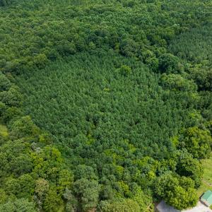 Photo #23 of SOLD property in Off White Street, Warrenton, NC 17.5 acres