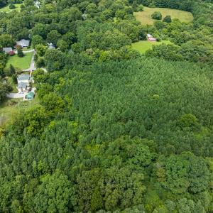Photo #26 of SOLD property in Off White Street, Warrenton, NC 17.5 acres