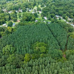 Photo #28 of SOLD property in Off White Street, Warrenton, NC 17.5 acres