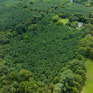 Photo #29 of SOLD property in Off White Street, Warrenton, NC 17.5 acres