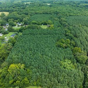 Photo #32 of SOLD property in Off White Street, Warrenton, NC 17.5 acres