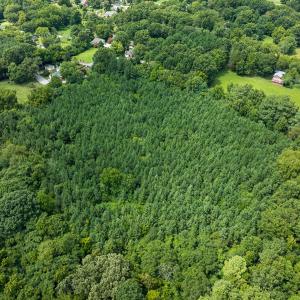 Photo #35 of SOLD property in Off White Street, Warrenton, NC 17.5 acres