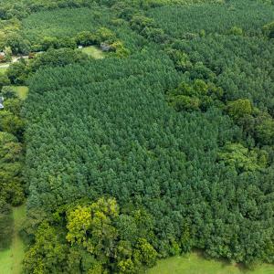 Photo #36 of SOLD property in Off White Street, Warrenton, NC 17.5 acres