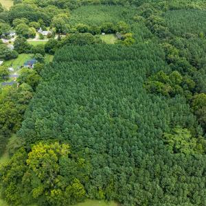 Photo #37 of SOLD property in Off White Street, Warrenton, NC 17.5 acres