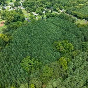 Photo #38 of SOLD property in Off White Street, Warrenton, NC 17.5 acres