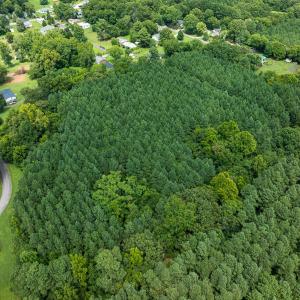 Photo #39 of SOLD property in Off White Street, Warrenton, NC 17.5 acres
