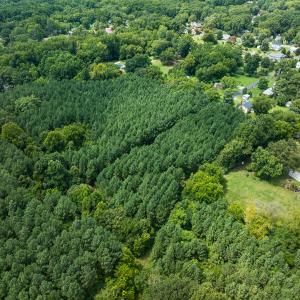 Photo #41 of SOLD property in Off White Street, Warrenton, NC 17.5 acres