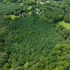 Photo #43 of SOLD property in Off White Street, Warrenton, NC 17.5 acres
