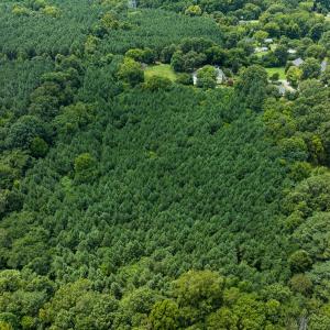 Photo #44 of SOLD property in Off White Street, Warrenton, NC 17.5 acres