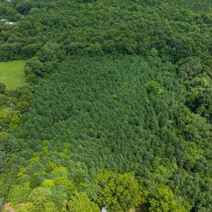 Photo #47 of SOLD property in Off White Street, Warrenton, NC 17.5 acres