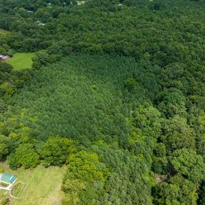 Photo #48 of SOLD property in Off White Street, Warrenton, NC 17.5 acres