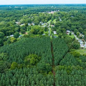 Photo #51 of SOLD property in Off White Street, Warrenton, NC 17.5 acres