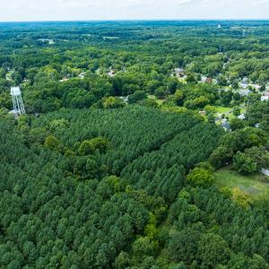 Photo #52 of SOLD property in Off White Street, Warrenton, NC 17.5 acres