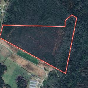 Photo #1 of SOLD property in Off Davis Rd, Richlands, NC 44.1 acres